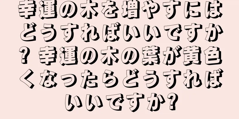 幸運の木を増やすにはどうすればいいですか? 幸運の木の葉が黄色くなったらどうすればいいですか?