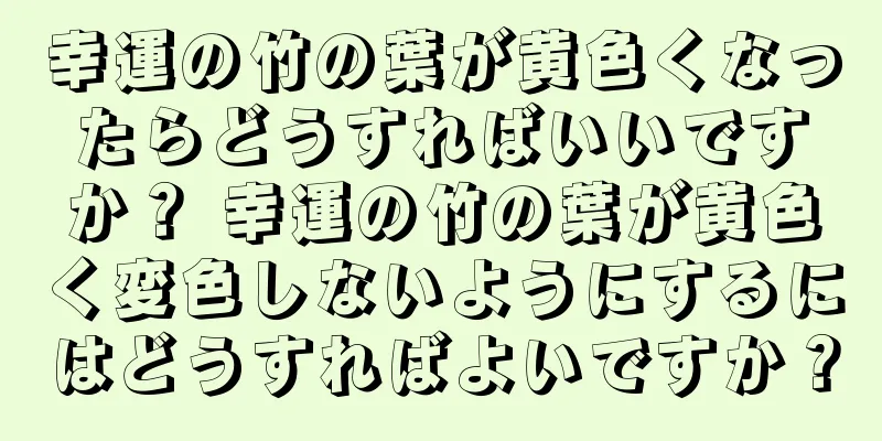 幸運の竹の葉が黄色くなったらどうすればいいですか？ 幸運の竹の葉が黄色く変色しないようにするにはどうすればよいですか？