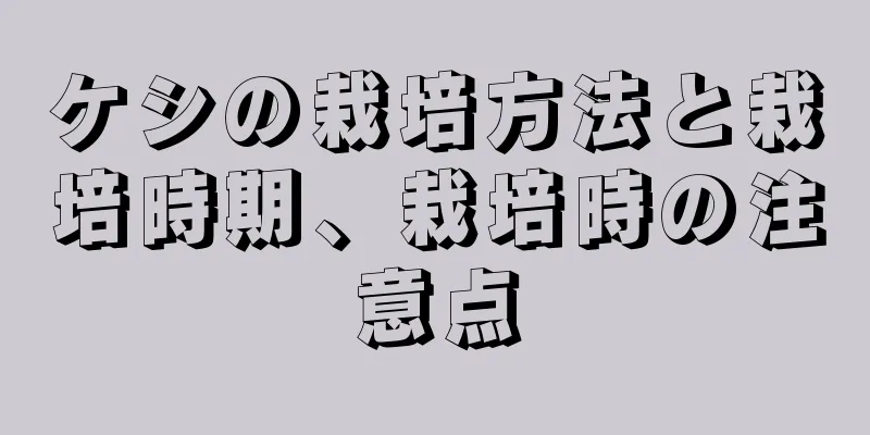ケシの栽培方法と栽培時期、栽培時の注意点