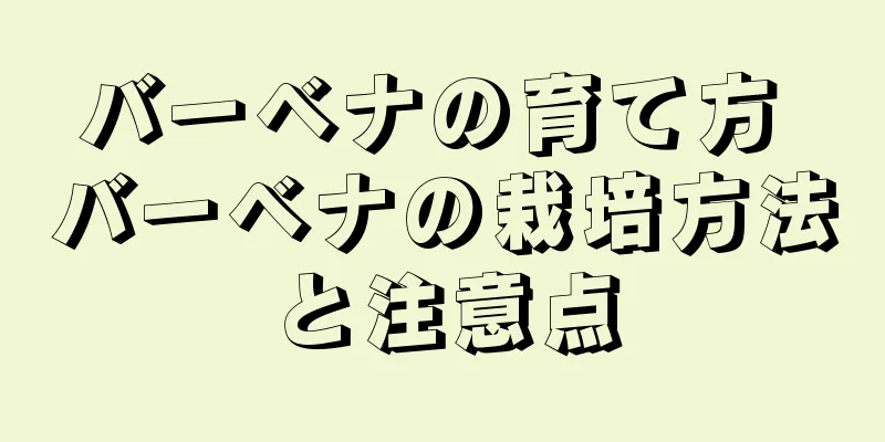 バーベナの育て方 バーベナの栽培方法と注意点