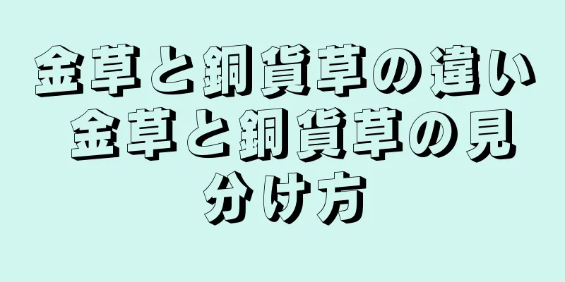金草と銅貨草の違い 金草と銅貨草の見分け方