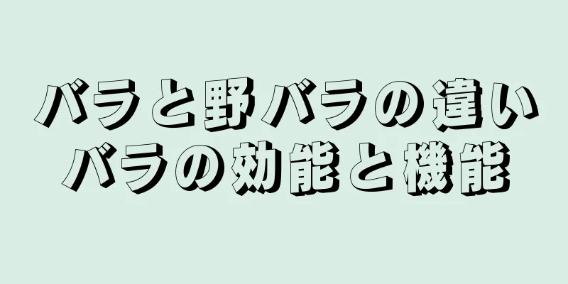 バラと野バラの違いバラの効能と機能