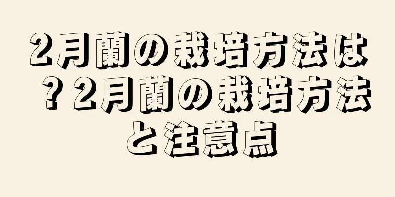 2月蘭の栽培方法は？2月蘭の栽培方法と注意点