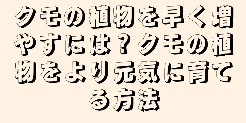 クモの植物を早く増やすには？クモの植物をより元気に育てる方法