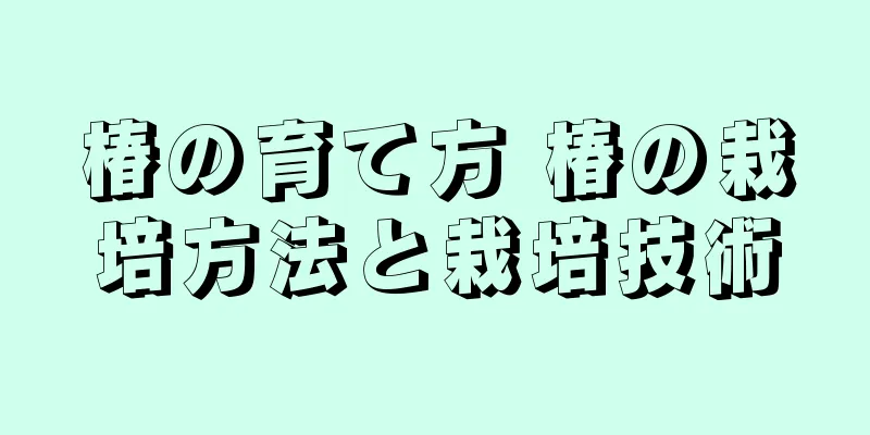 椿の育て方 椿の栽培方法と栽培技術