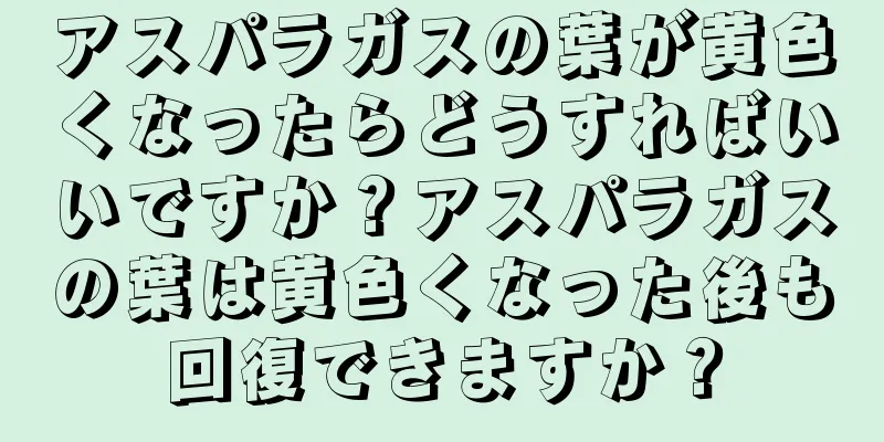 アスパラガスの葉が黄色くなったらどうすればいいですか？アスパラガスの葉は黄色くなった後も回復できますか？