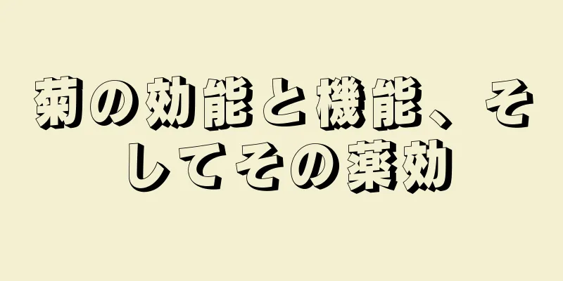 菊の効能と機能、そしてその薬効