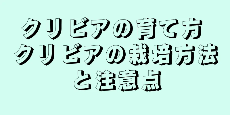 クリビアの育て方 クリビアの栽培方法と注意点