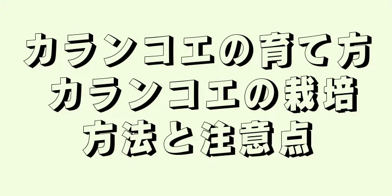 カランコエの育て方 カランコエの栽培方法と注意点