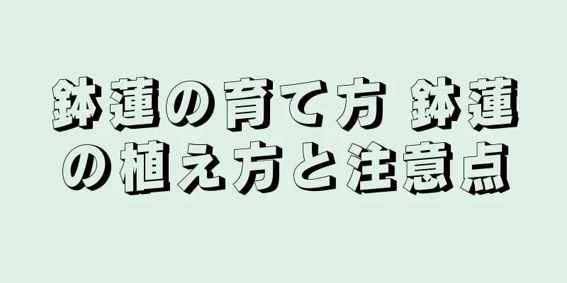 鉢蓮の育て方 鉢蓮の植え方と注意点