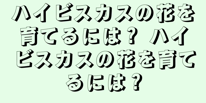 ハイビスカスの花を育てるには？ ハイビスカスの花を育てるには？