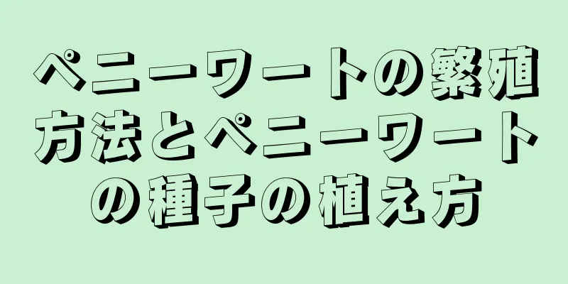 ペニーワートの繁殖方法とペニーワートの種子の植え方