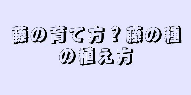 藤の育て方？藤の種の植え方