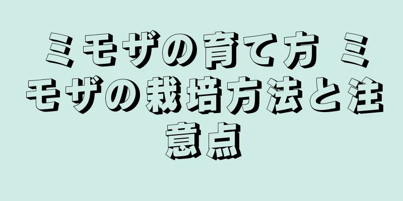 ミモザの育て方 ミモザの栽培方法と注意点