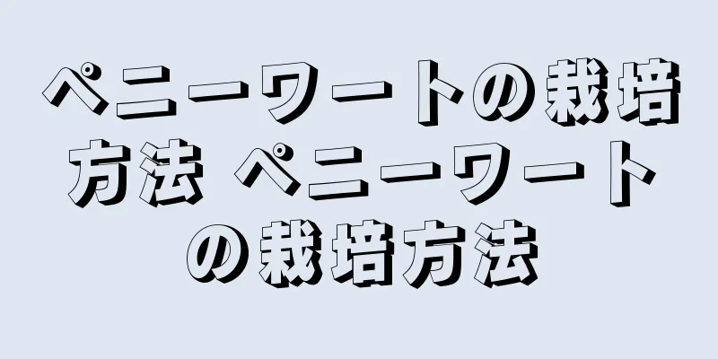ペニーワートの栽培方法 ペニーワートの栽培方法