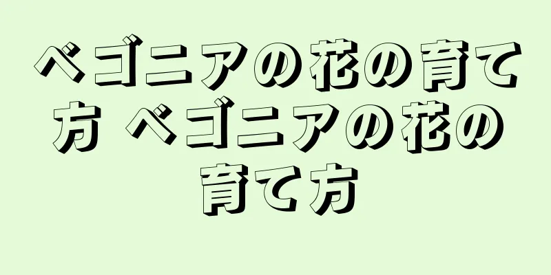 ベゴニアの花の育て方 ベゴニアの花の育て方