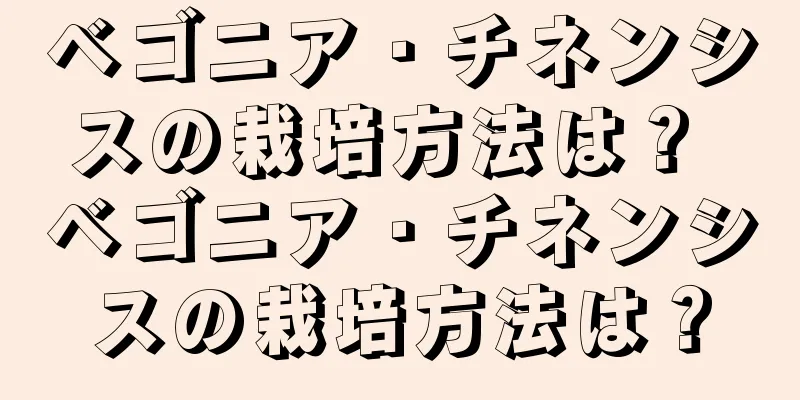 ベゴニア・チネンシスの栽培方法は？ ベゴニア・チネンシスの栽培方法は？