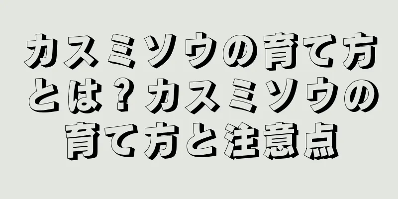 カスミソウの育て方とは？カスミソウの育て方と注意点