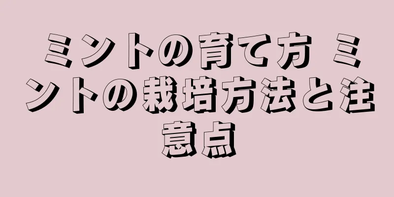 ミントの育て方 ミントの栽培方法と注意点