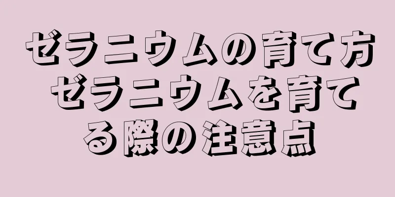 ゼラニウムの育て方 ゼラニウムを育てる際の注意点