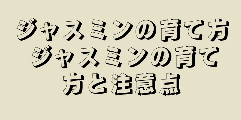 ジャスミンの育て方 ジャスミンの育て方と注意点