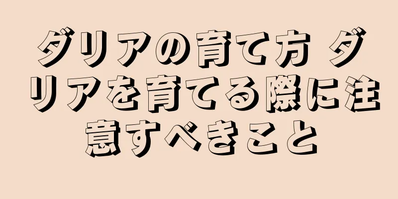 ダリアの育て方 ダリアを育てる際に注意すべきこと