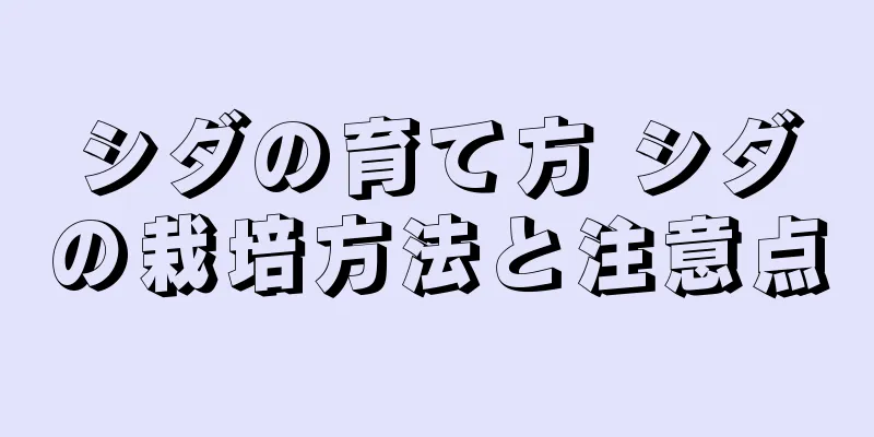 シダの育て方 シダの栽培方法と注意点