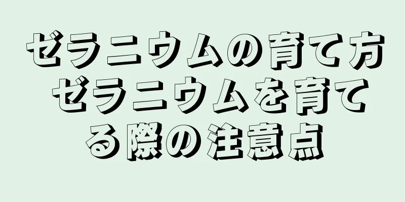 ゼラニウムの育て方 ゼラニウムを育てる際の注意点
