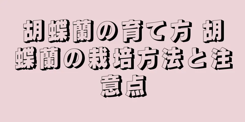 胡蝶蘭の育て方 胡蝶蘭の栽培方法と注意点