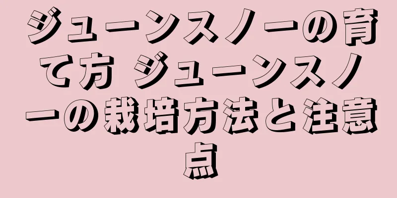 ジューンスノーの育て方 ジューンスノーの栽培方法と注意点