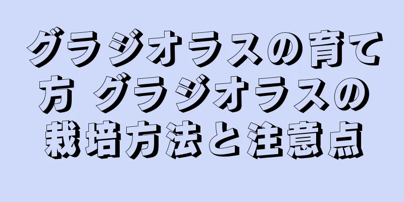 グラジオラスの育て方 グラジオラスの栽培方法と注意点
