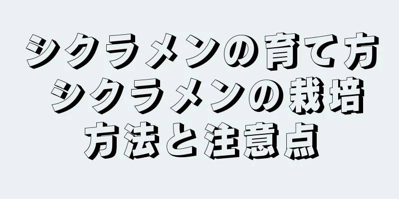シクラメンの育て方 シクラメンの栽培方法と注意点