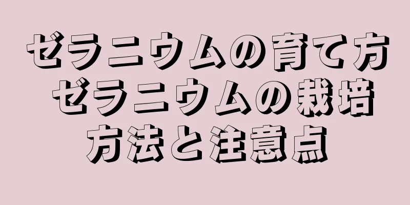 ゼラニウムの育て方 ゼラニウムの栽培方法と注意点
