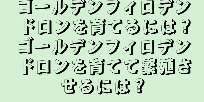 ゴールデンフィロデンドロンを育てるには？ゴールデンフィロデンドロンを育てて繁殖させるには？