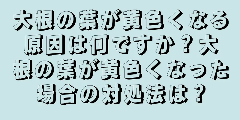 大根の葉が黄色くなる原因は何ですか？大根の葉が黄色くなった場合の対処法は？