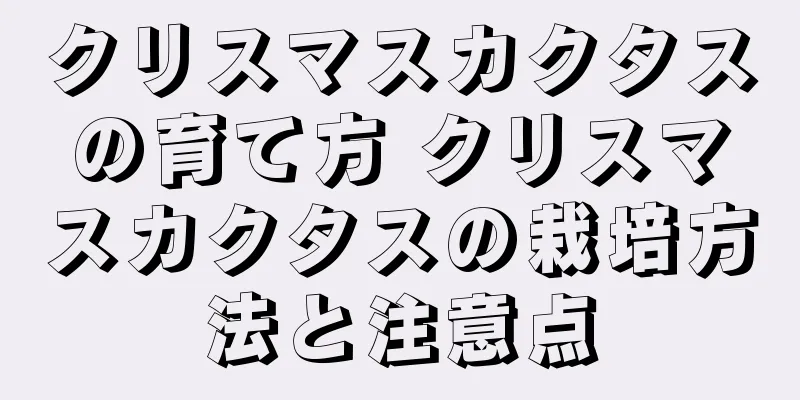 クリスマスカクタスの育て方 クリスマスカクタスの栽培方法と注意点