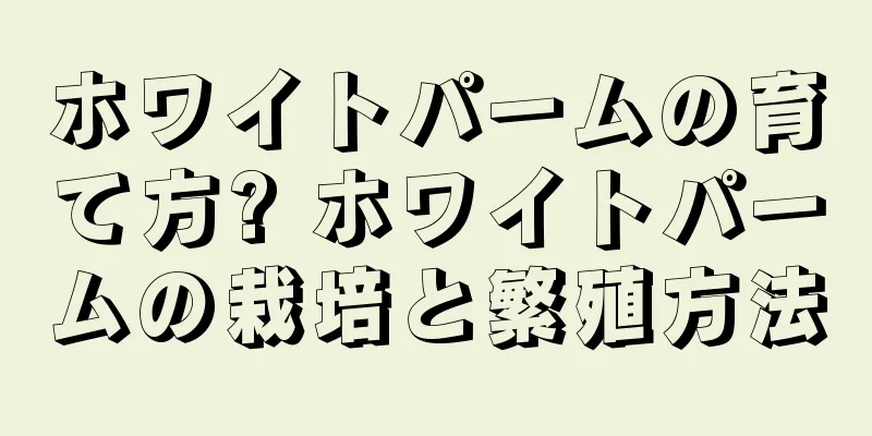 ホワイトパームの育て方? ホワイトパームの栽培と繁殖方法
