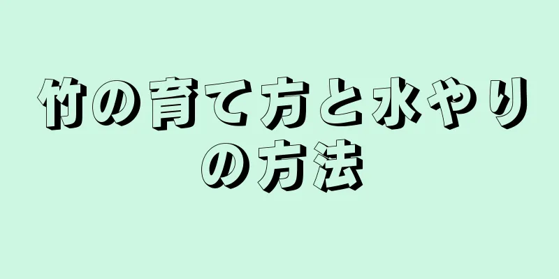 竹の育て方と水やりの方法