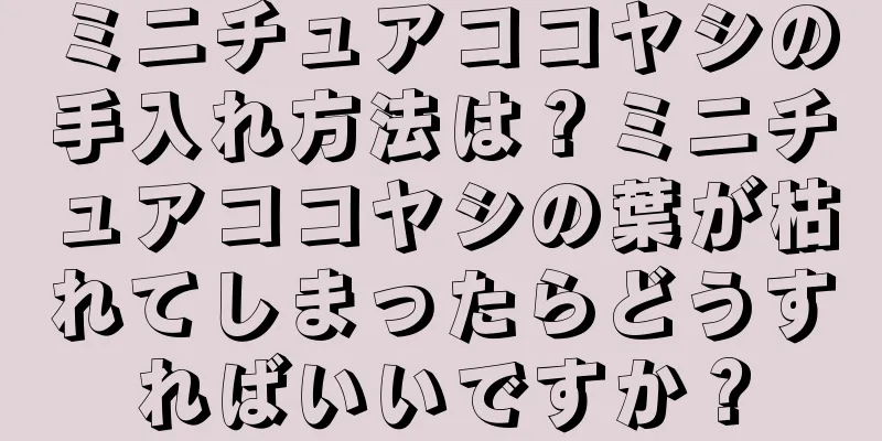 ミニチュアココヤシの手入れ方法は？ミニチュアココヤシの葉が枯れてしまったらどうすればいいですか？