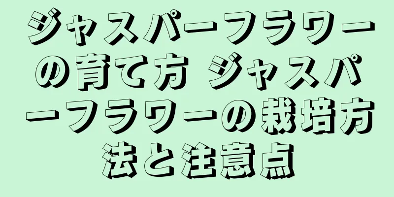 ジャスパーフラワーの育て方 ジャスパーフラワーの栽培方法と注意点