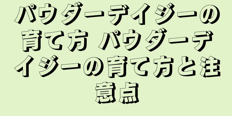 パウダーデイジーの育て方 パウダーデイジーの育て方と注意点