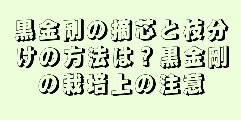 黒金剛の摘芯と枝分けの方法は？黒金剛の栽培上の注意