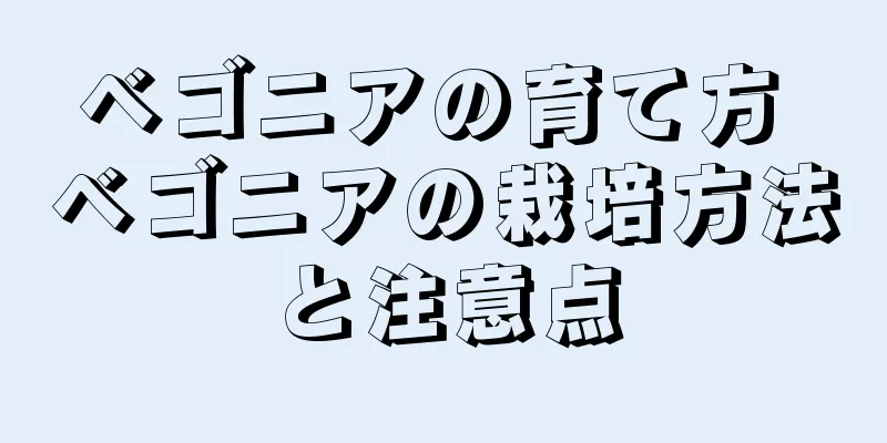 ベゴニアの育て方 ベゴニアの栽培方法と注意点