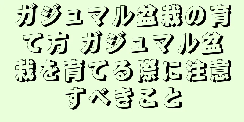 ガジュマル盆栽の育て方 ガジュマル盆栽を育てる際に注意すべきこと