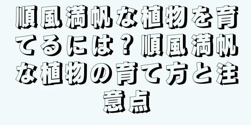 順風満帆な植物を育てるには？順風満帆な植物の育て方と注意点