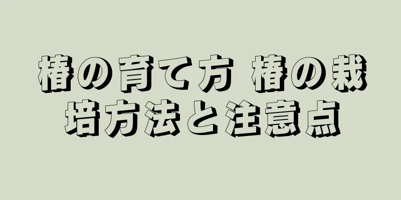 椿の育て方 椿の栽培方法と注意点