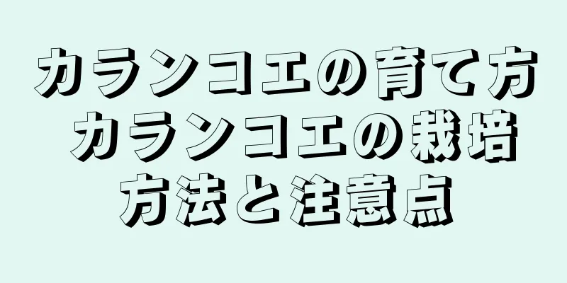 カランコエの育て方 カランコエの栽培方法と注意点