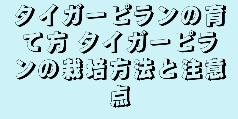 タイガーピランの育て方 タイガーピランの栽培方法と注意点