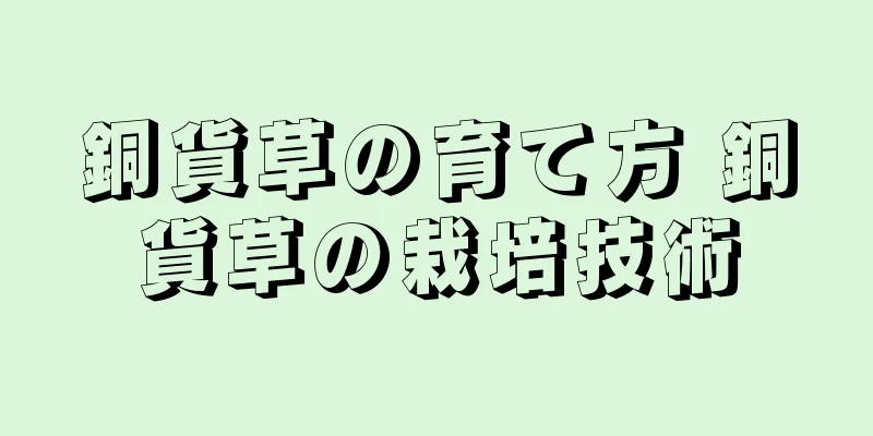 銅貨草の育て方 銅貨草の栽培技術