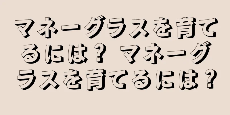 マネーグラスを育てるには？ マネーグラスを育てるには？
